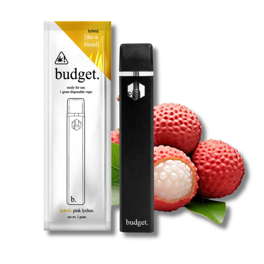 Budget THCA Disposable Vape 1G