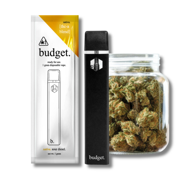 Budget THCA Disposable Vape 1G